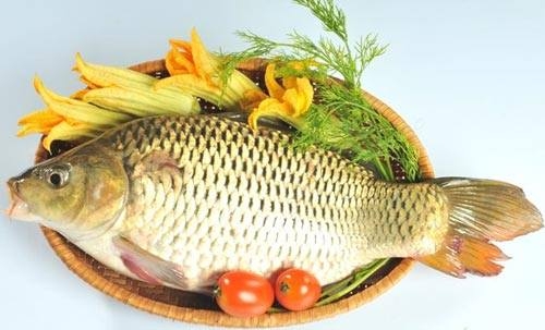 Giá đậu làm thức ăn cho cá giòn là bao nhiêu một kg? Mua và bán ở đâu?